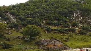 گوشه ای از طبیعت زیبا