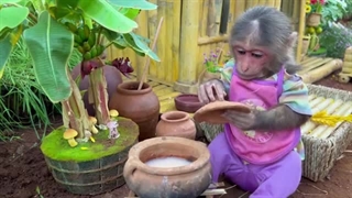 فیلم*Animals Home*قسمت دوازدهم