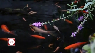 گفت‌وگو با حجت اشرف زاده