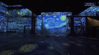 Loving Vincent __ Vincent VanGogh__ France Paris__Starry Night