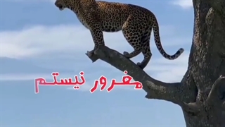 مغرور نیستم ﻓﻘﻂ ﺩﻧﯿـﺎ ﺑﻬﻢ ﺛﺎﺑﺖ ﮐﺮﺩ تــﻮﺟﻪ ﺯﯾﺎﺩ بی توجهی ﻣﯿـﺎﺭﻩ