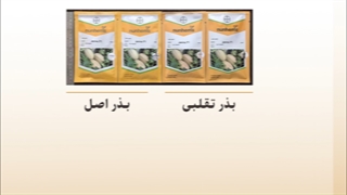 نحوه تشخیص بذر تقلبی از اصلی