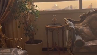 زندگی لاکچری نفیسه روشن ارتودنسی