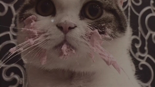 اوووو راستی تولد بهمن ماهی های عزیز مبارک=)♡ S