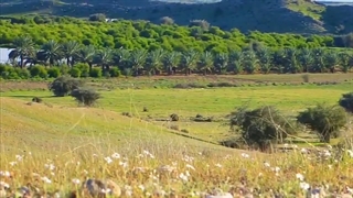 روستای فدویه خنج