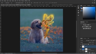 0 تا 100 فتومونتاژ سگ و فرشته نورپردازی