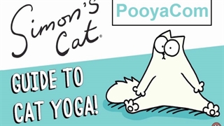 سایمون گربه - 23