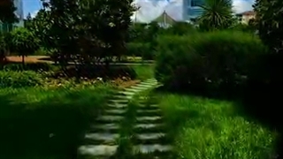 دریافت پاسپورت ترکیه