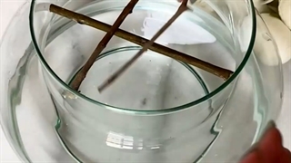 چیدمان میز گروه مهندسی متراژ