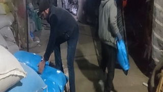 فروش و ارسال 6تن سیاه دانه بوجاری و لیزر شده اعلا  (داپیدو)