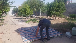 یک روز زیبا تفریح در باغ کوچک من