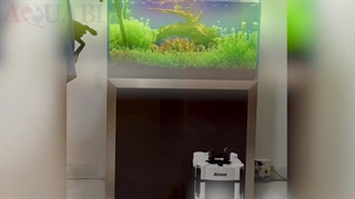 فیلتر سطلی آتمن AT-3338S