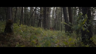 فیلم طعمه با دوبله فارسی/Prey 2022