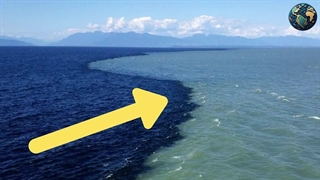 دانستنی های جالب علمی : چرا اب دو اقیانوس متفاوت با همدیگه ادغام نمیشوند ؟