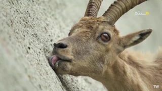 ابرطبیعی ؛ 2022 ؛ فصل 1 ؛ قسمت 6