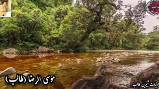 کلیپ زیبا از دکلمه زیبا با صدای دلنشین شاعر از غزل طالب با عنوان رنج عاشقان