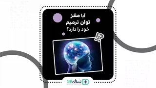 آیا مغز ترمیم می شود؟ داروخانه آنلاین نسخه اول - داروخانه اینترنتی نسخه اول