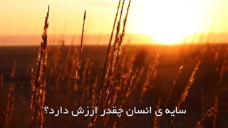 ارزش دنیا نزد اولیای خداوند مثل سایه است(آیت الله العظمی مظاهری)