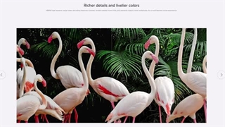 ویدئو پروژکتور شیائومی Mi Smart Compact