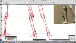 Analytical Figure Drawing Michael Hampton Week - 6  Structure and Anatomy of the legs