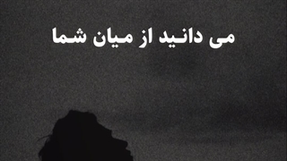 بهترین مسلمان