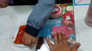 دسته بندی دانه ها/مرجان چرخی