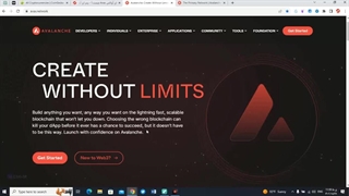 بررسی ویدیویی آوالانچ (قسمت اول-بخش اول)