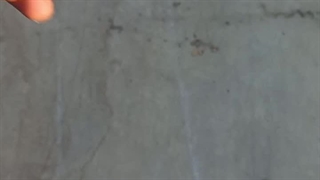 تولیدکننده انواع فن سانتریفیوژ در بندرعباس 09177002700