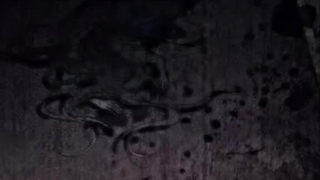 fᵢᵣₛₜ ₒf ₐₗₗ ₗₑₜₛ ₕᵢdₑ ₘy ₗᵢₜₜₗₑ bᵣₒₜₕₑᵣ