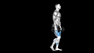 لانج با دمبل