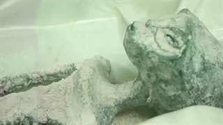 نگاهی دقیق تر به جسد موجودات فضایی رونمایی شده در مکزیک