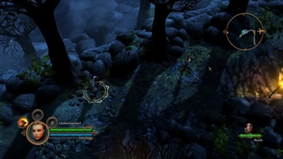 Dungeon Siege III لن شبکه
