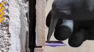 کلیپس همتراز