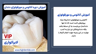 آموزش دوره آناتومی و مورفولوژی دندان