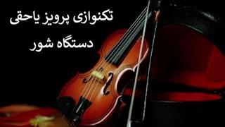 Violin Parviz Yahaghi تکنوازی پرویز یاحقی در شور