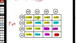 زیست آیمت-imat-محاسبه ی انوع و تعداد فنوتیپ-ژنوتیپ در کمترین زمان!