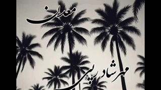 آهنگ معدن از مهرشاد رپی و گروه مصوت ۰۵۶