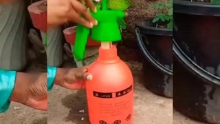 سمپاشی دستی - کشاورز صنعت