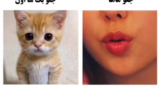 یه چیز حق از سریال وقتی تلفن زنگ می خورد