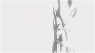 Genshin [AMV/GMV] - Queen