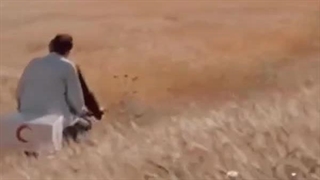 باد مارا خواهد برد - عباس کیارستمی