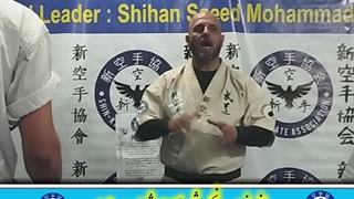 Shihan Saeed Mohammadi