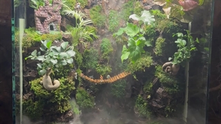 دکوراسیون داخلی جذاب