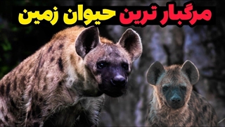 با 8 تا از مرگبار ترین و خطرناک ترین حیوانات جهان آشنا شوید.