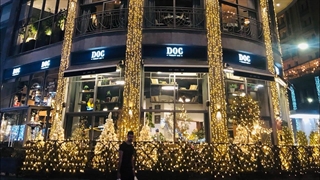 جشن کریسمس ارمنستان