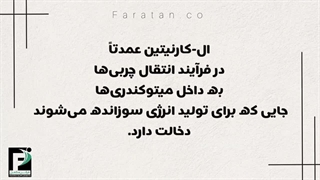 ال ارژنین و ال کارنیتین چیست؟ https://faratan.co/