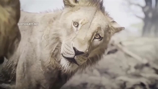 انیمیشن MUFASA موفاسا شیرشاه