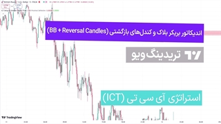 اندیکاتو بریکر بلاک و کندل‌های بازگشتی در تریدینگ ویو (Breaker Blocks + Reversal Candles) [تریدینگ فایندر]