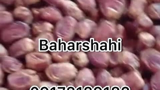 خرما زاهدی بهارشاهی
