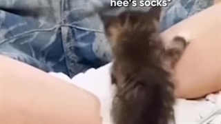 شب بخیر...حتی کیتی هم عاشق هیسونگ شده بود....منم بغل هیسونگ رو می خوام....